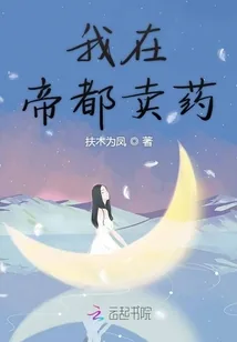 《我在帝都卖药》小说封面