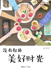 《没有你的美好时光》小说封面