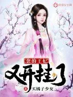 《您的王妃又开挂了》小说封面