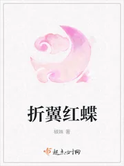 《折翼红蝶》小说封面