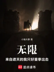 《无限：来自遮天的我只好重拳出击》小说封面