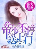 《暴力甜妻：帝少不停送上门》小说封面