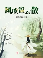 《风吹流云散》小说封面