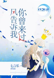 《风告诉我你曾来过》小说封面