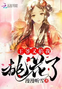 《王爷又掐我桃花了》小说封面