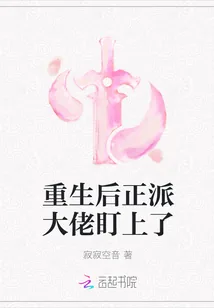 《重生后正派大佬盯上了》小说封面
