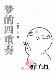 《梦的四重奏》小说封面