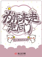 《为师来走走后门》小说封面