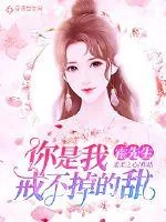 《霍先生,你是我戒不掉的甜》小说封面