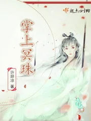 《掌上冥珠》小说封面