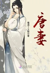 《唐妻》小说封面