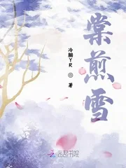 《棠煎雪》小说封面