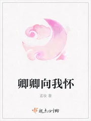 《卿卿向我怀》小说封面