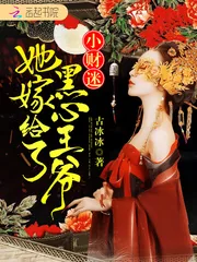 《小财迷她嫁给了黑心王爷》小说封面