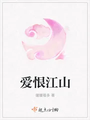 《爱恨江山》小说封面