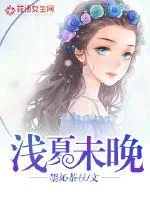 《浅夏未晚》小说封面