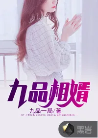 《九品相婿》小说封面