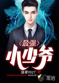 《最强小少爷》小说封面