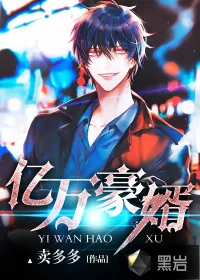 《亿万豪婿》小说封面
