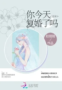 《沈爷你今天复婚了吗》小说封面