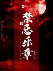 《非禁忌乐章》小说封面