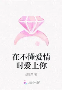 《在不懂爱情时爱上你》小说封面