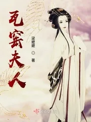 《瓦窑夫人》小说封面