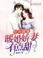 《亿万深宠：暖婚娇妻有点甜》小说封面