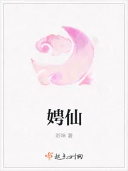 《娉仙》小说封面