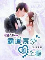 《宠妻入怀：霸道宸少爱上瘾》小说封面
