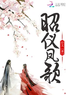 《昭仪凤歌》小说封面