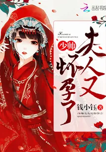 《少帅，夫人又怀孕了》小说封面