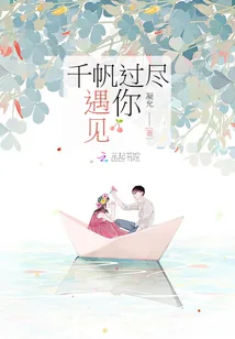 《千帆过尽遇见你》小说封面