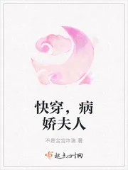 《快穿,病娇夫人》小说封面