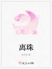 《离珠》小说封面
