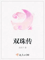 《双珠传》小说封面
