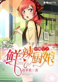 《中餐厅之鲜辣厨娘》小说封面