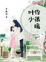 《叶少，你很暖》小说封面