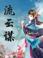 《流云谋》小说封面