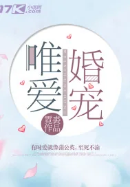 《唯爱婚宠》小说封面