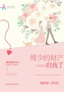《傅少的财产归我了》小说封面
