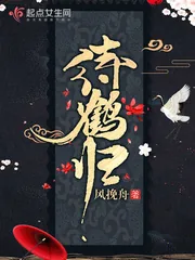 《待鹤归》小说封面