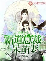 《前世今生：霸道总裁呆萌妻》小说封面