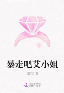 《暴走吧艾小姐》小说封面