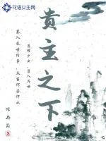 《贵主之下》小说封面
