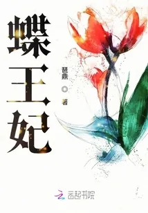 《蝶王妃》小说封面