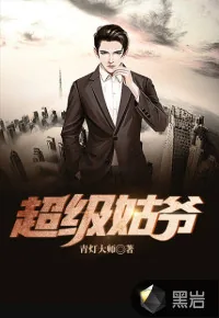 《超级姑爷》小说封面