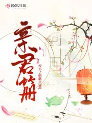 《亲君笧》小说封面
