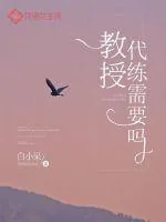 《教授，代练需要吗？》小说封面