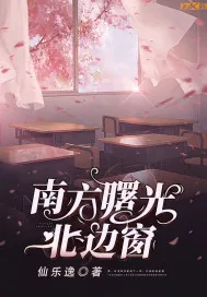 《南方曙光北边窗》小说封面